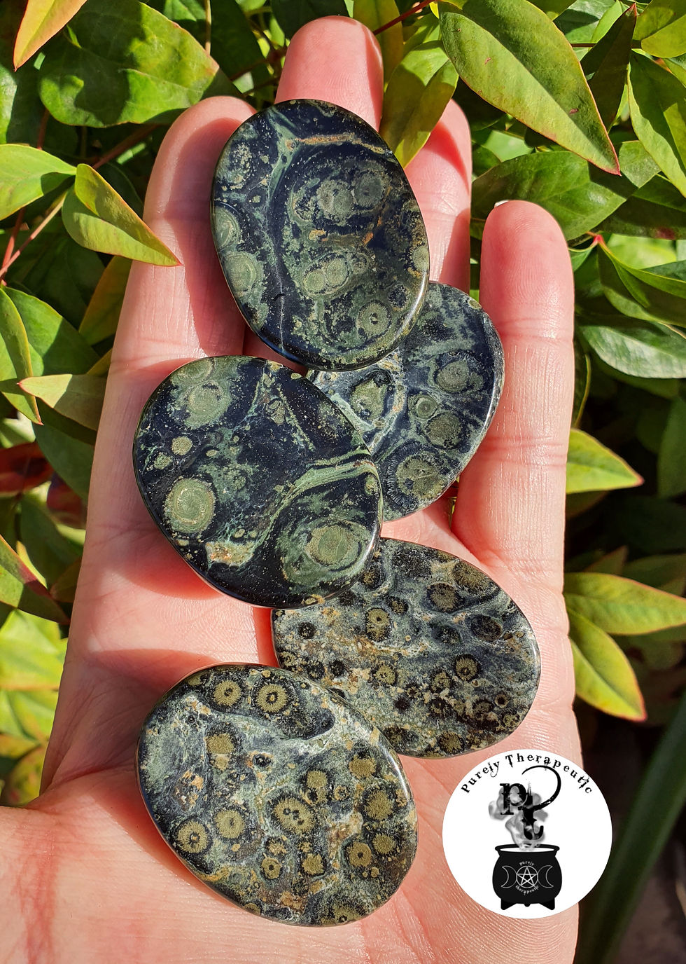 Kambaba Crocodile Skin Jasper Worry Palm Stone Gemstone Crystal