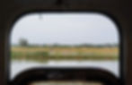We passed many farms and rivers on the train journey.