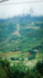 The lush hills of Sapa.