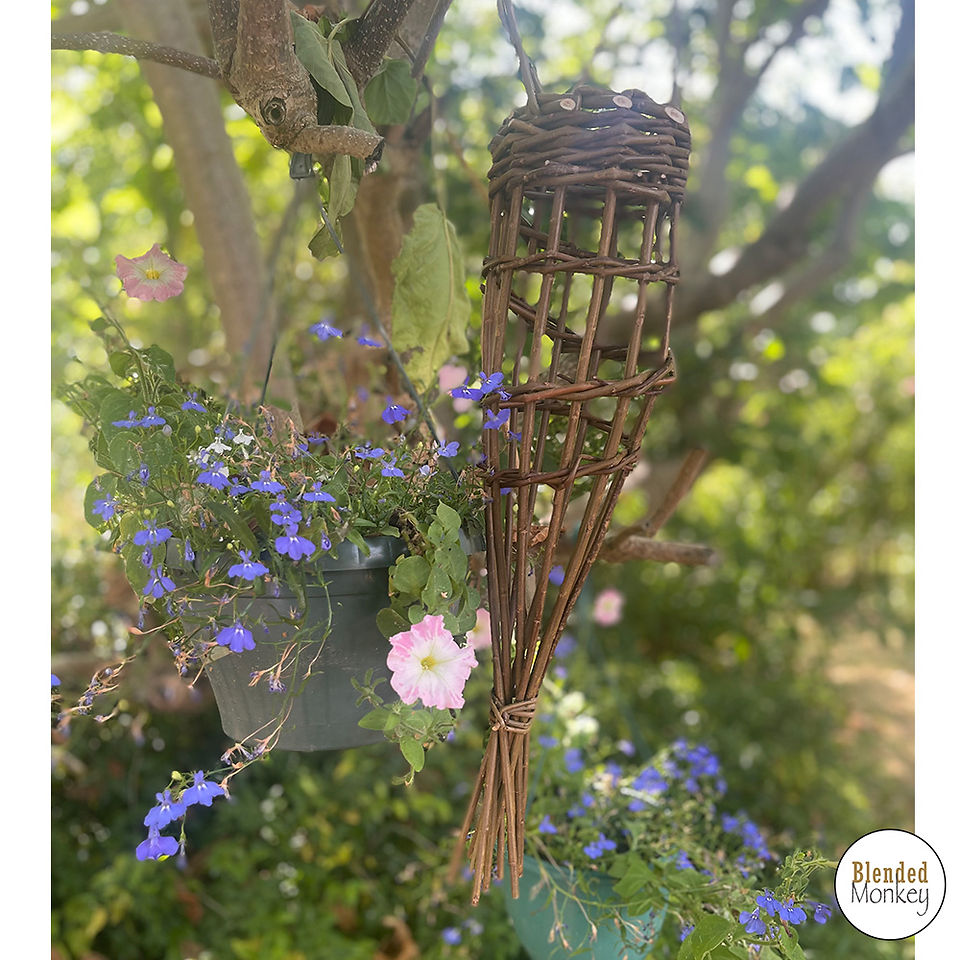 Completed garlic basket / bird feeder hanging in the tree