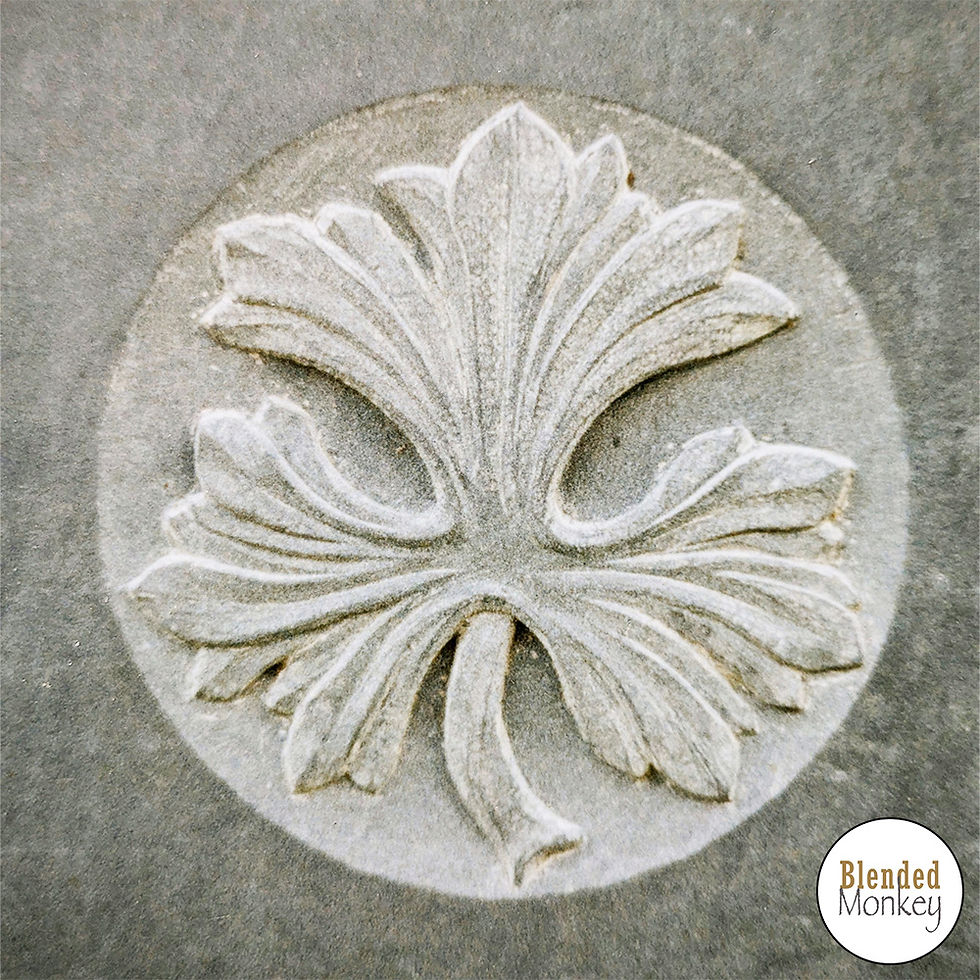 Beautiful raised leaf carved into stone
