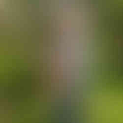 One our students posing with their beautiful willow hare sculpture in the Blended Monkey gardens