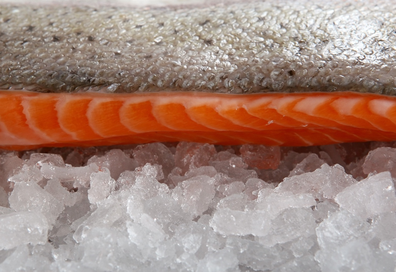 A fillet of salmon on crushed ice