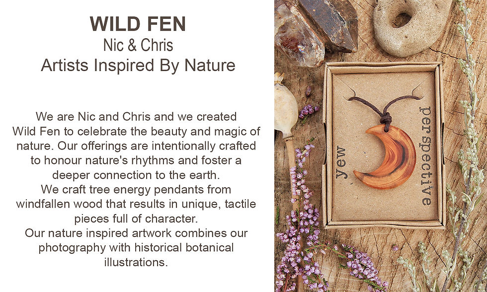 DISCOVER MORE