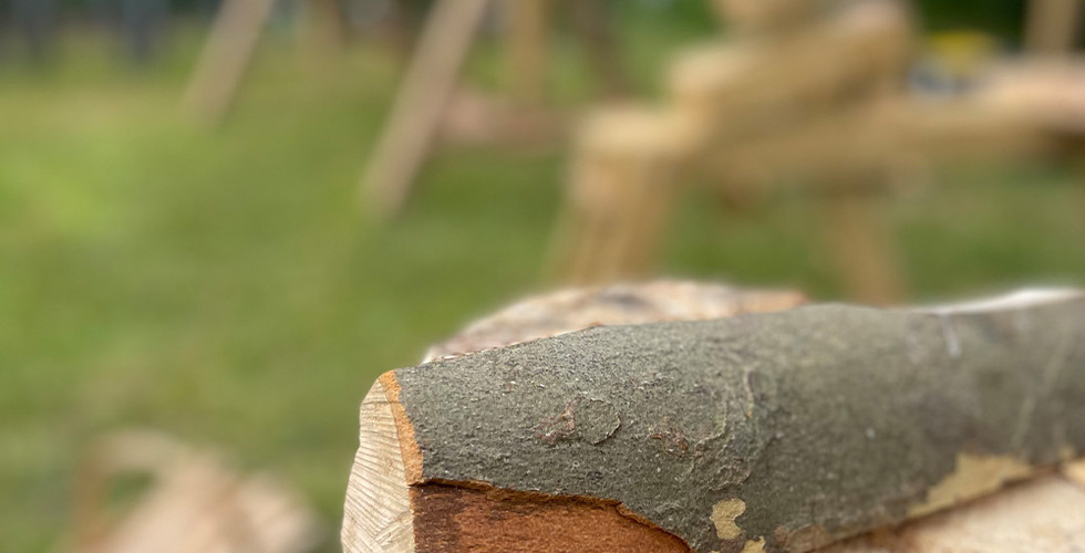 Wood on the axe block
