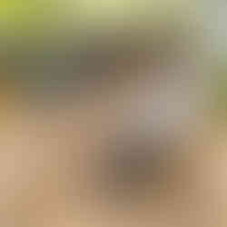 Happy group of students making their hare willow sculptures in today's Blended Monkey workshop