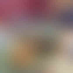 Group shot of the students and Matt and Gina ... oh and Simba the cat