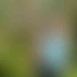 One our students posing with their beautiful willow hare sculpture in the Blended Monkey gardens