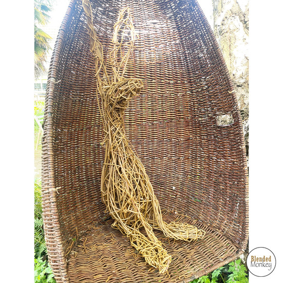 Willow hare taking a break in our willow chair