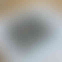 Group shot of our clay blossom tile students here in the Blended Monkey Studios