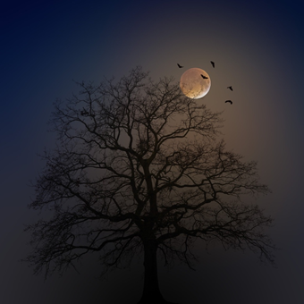 A bare tree silhoutted by the moonlight and bats flying around. It is one of the best Halloween decoration ideas.