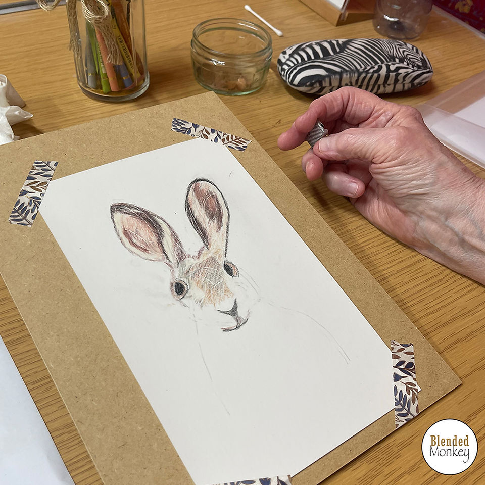 One of the student's lovely hare drawings taking shape