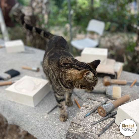 Simba investigating the work