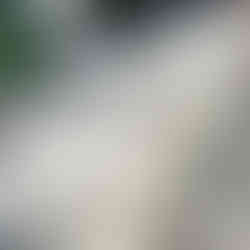 Stone prepped ready for the stone carving workshop here at Blended Monkey