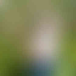 One our students posing with their beautiful willow hare sculpture in the Blended Monkey gardens