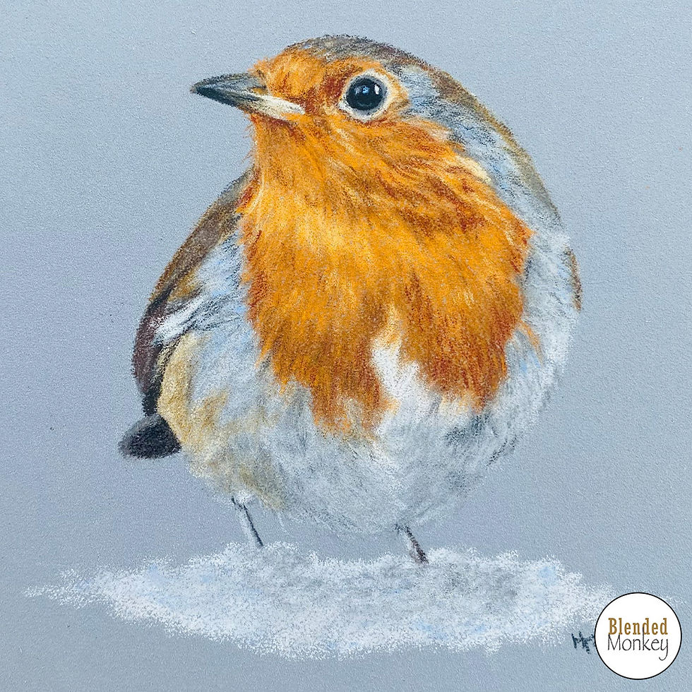 Winter robin coloured pencil drawing