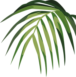 Tropical Leaf _edited.png
