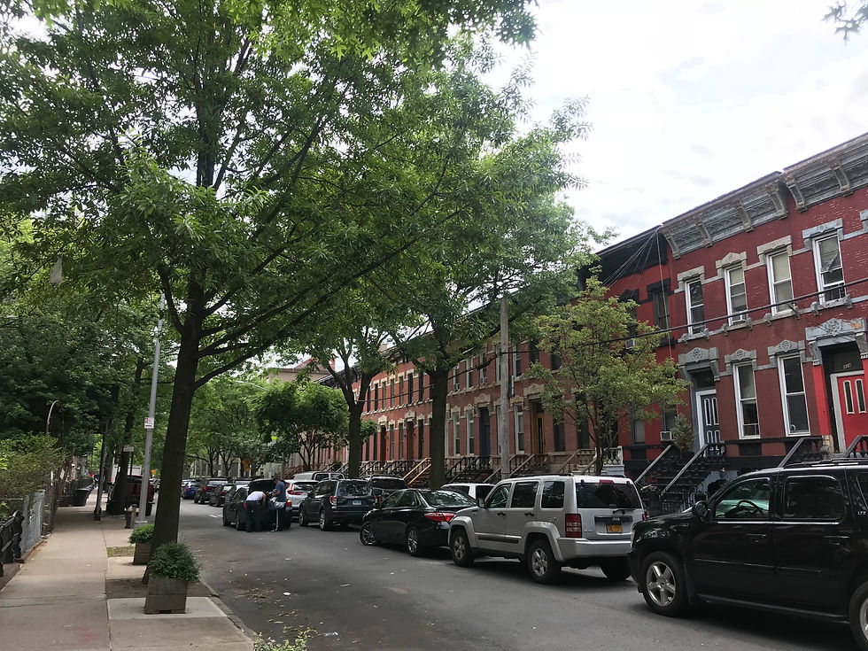 Row of apartment buildings in the Bronx