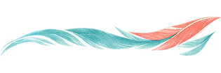 EE05DFF3-C32B-4AB2-B4A5-08ECE495A054.PNG