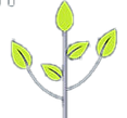 Keys-Successful-Entrepreneur-Business-De