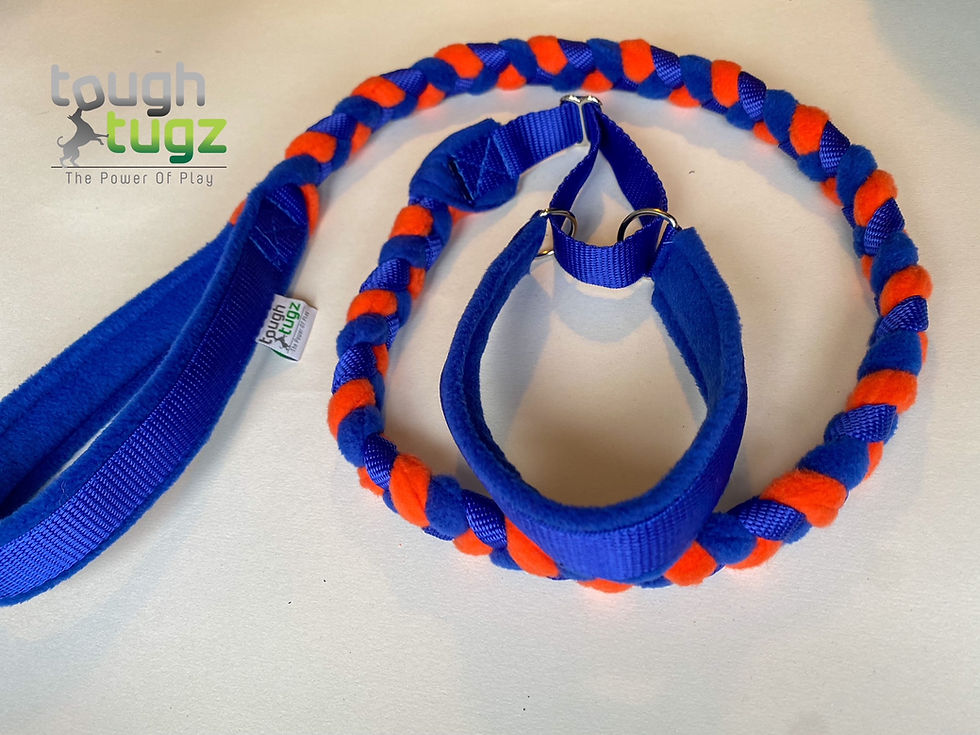 Miniaturbild: Schlupfhalsband & geflochtene Leine