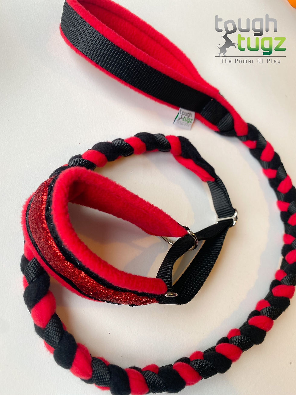 Thumbnail: Double Sparkle Slip Collar with Braided Lead