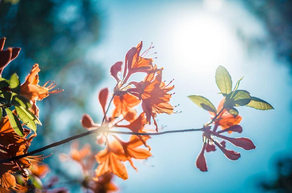 Städdag hösten 2026 🍂  