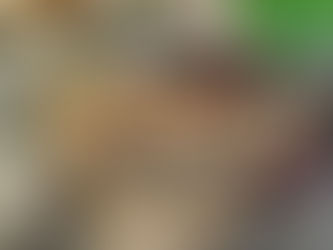 The Dream - a poem in blank verse