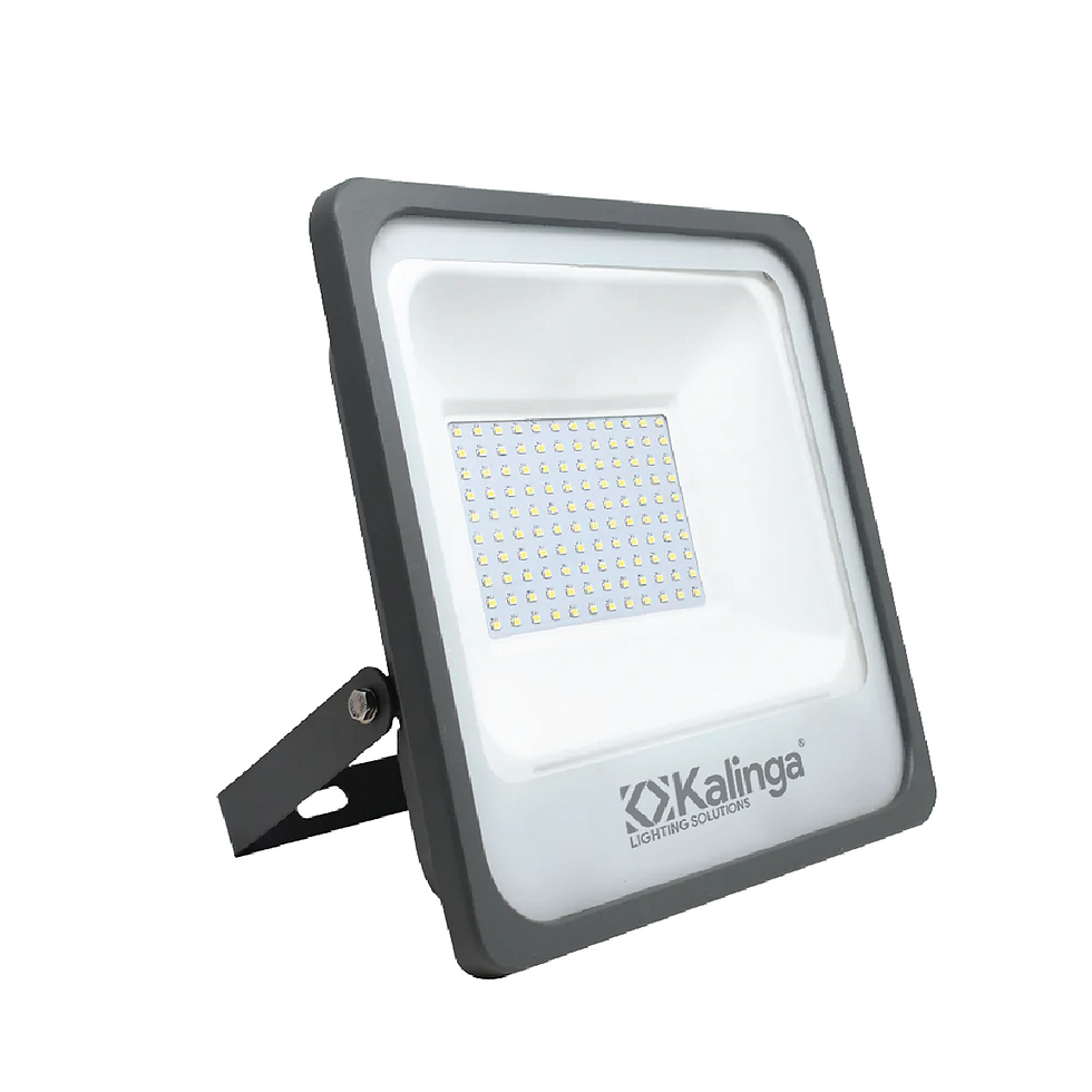 Eco Flood Light