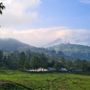 Kamu Adrenaline Junkie? Cobain Paralayang di Puncak, Bogor!