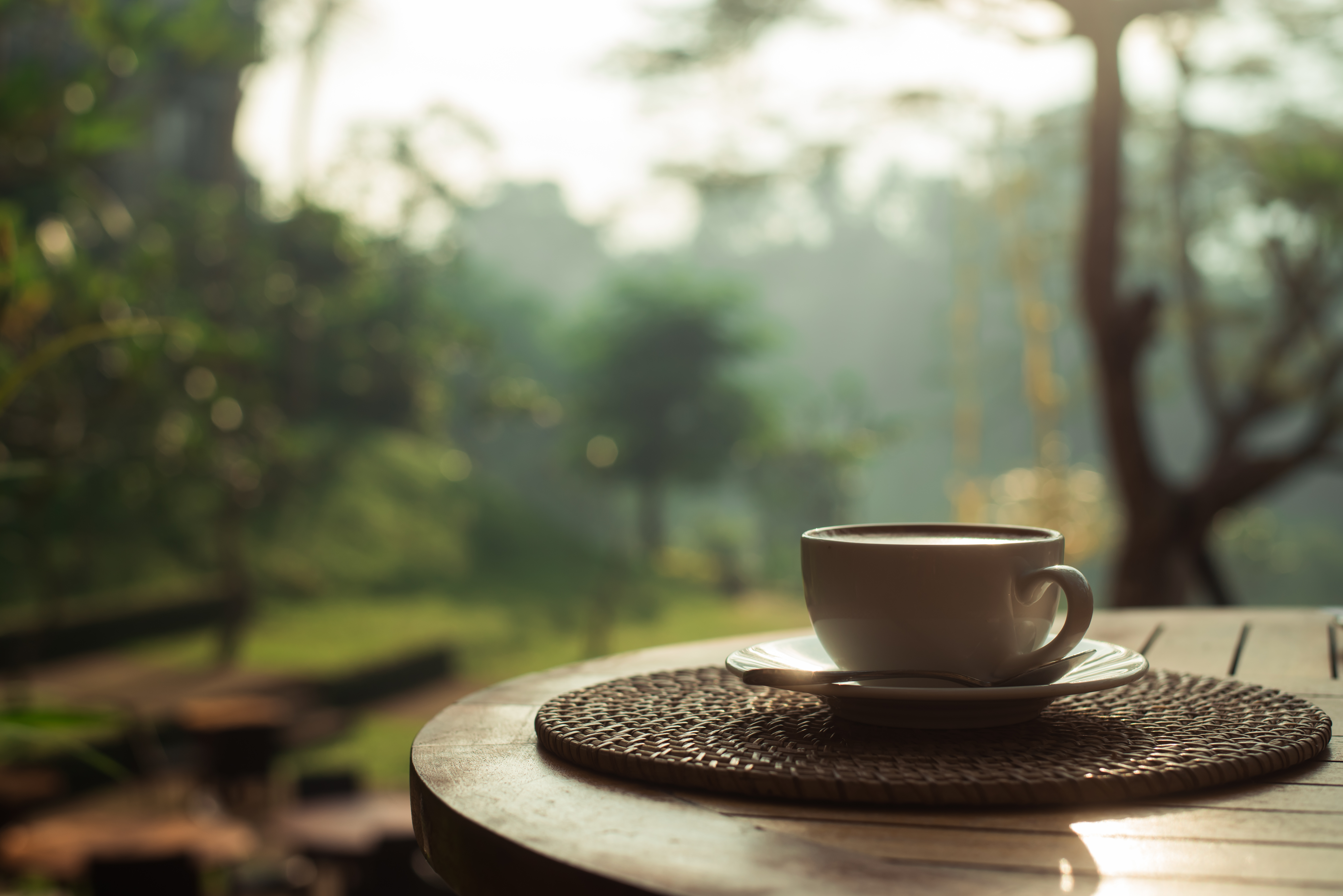 Nongkrong Bertema Alam di The Lake House Puncak — inspirasi dari Villa Bango di Cilember, Puncak