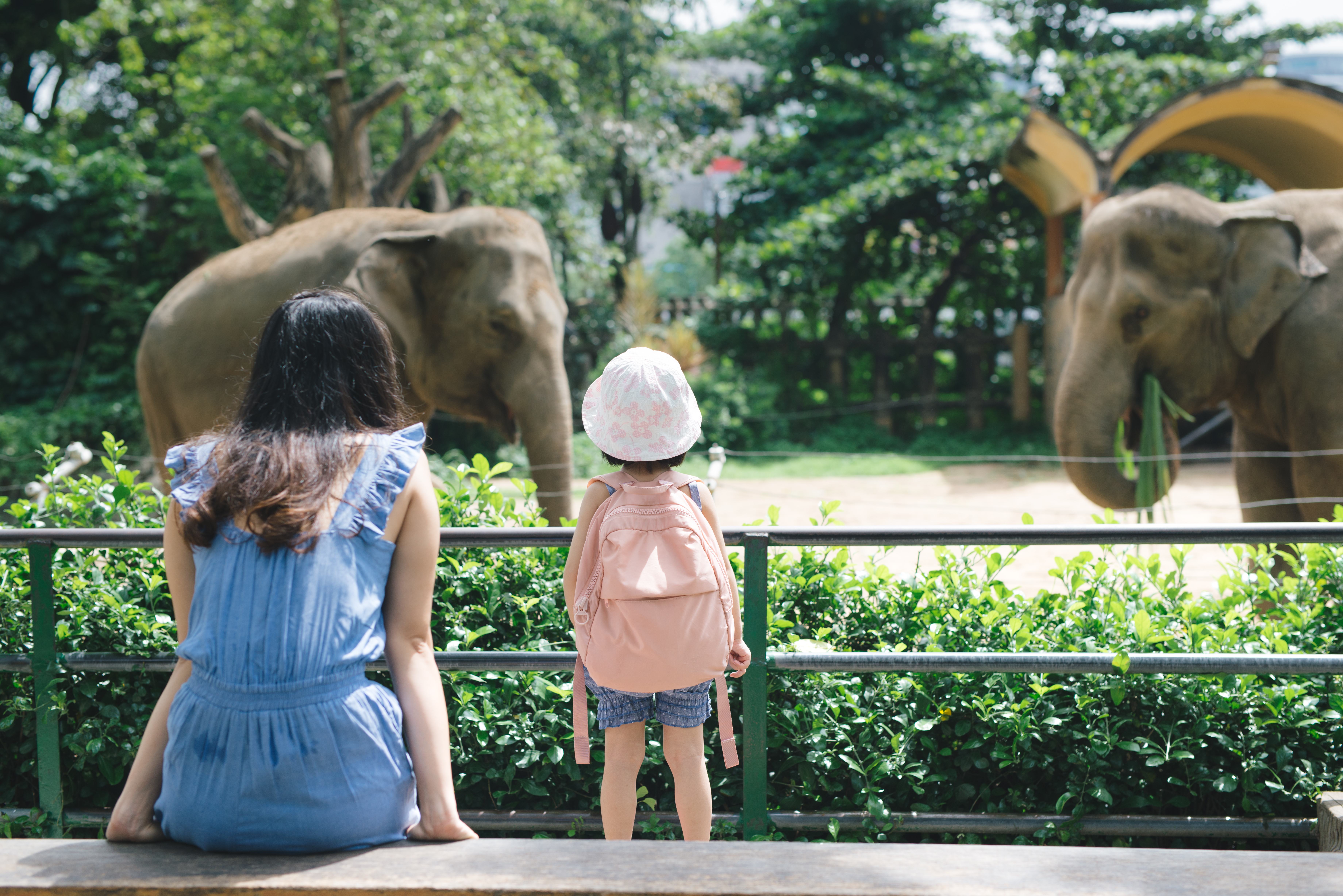 7 Wisata Puncak Bogor yang Family Friendly — inspirasi dari Villa Bango di Cilember, Puncak