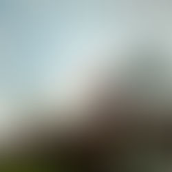 Staycation Sehat di Villa Bango Cilember, Puncak