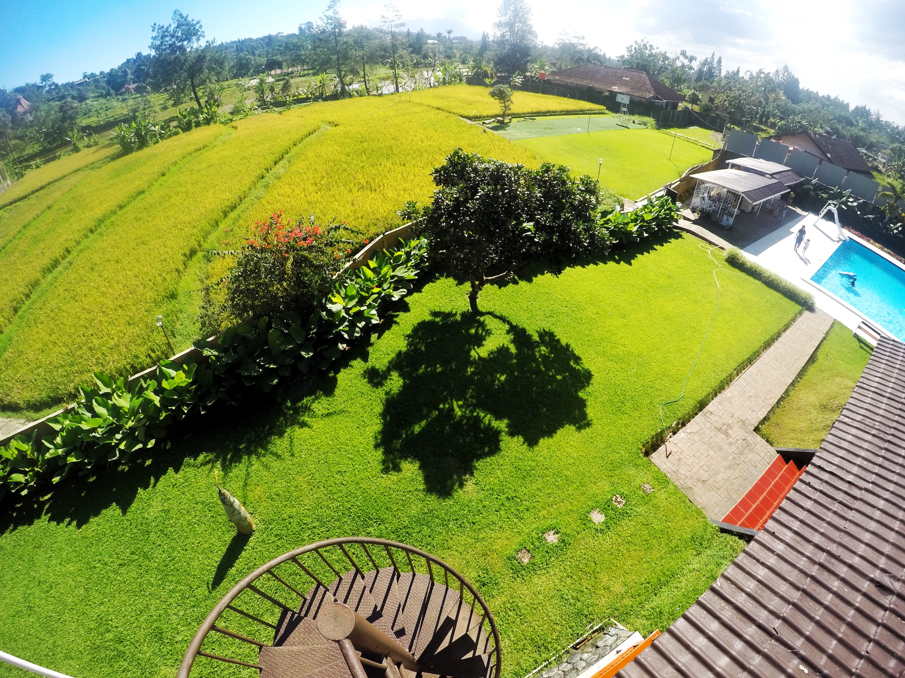 Villa di Puncak ini Punya Sawah Pribadi! — inspirasi dari Villa Bango di Cilember, Puncak