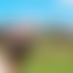 Ini Dia Villa Private yang Cocok Untuk Staycation Keluarga Besar