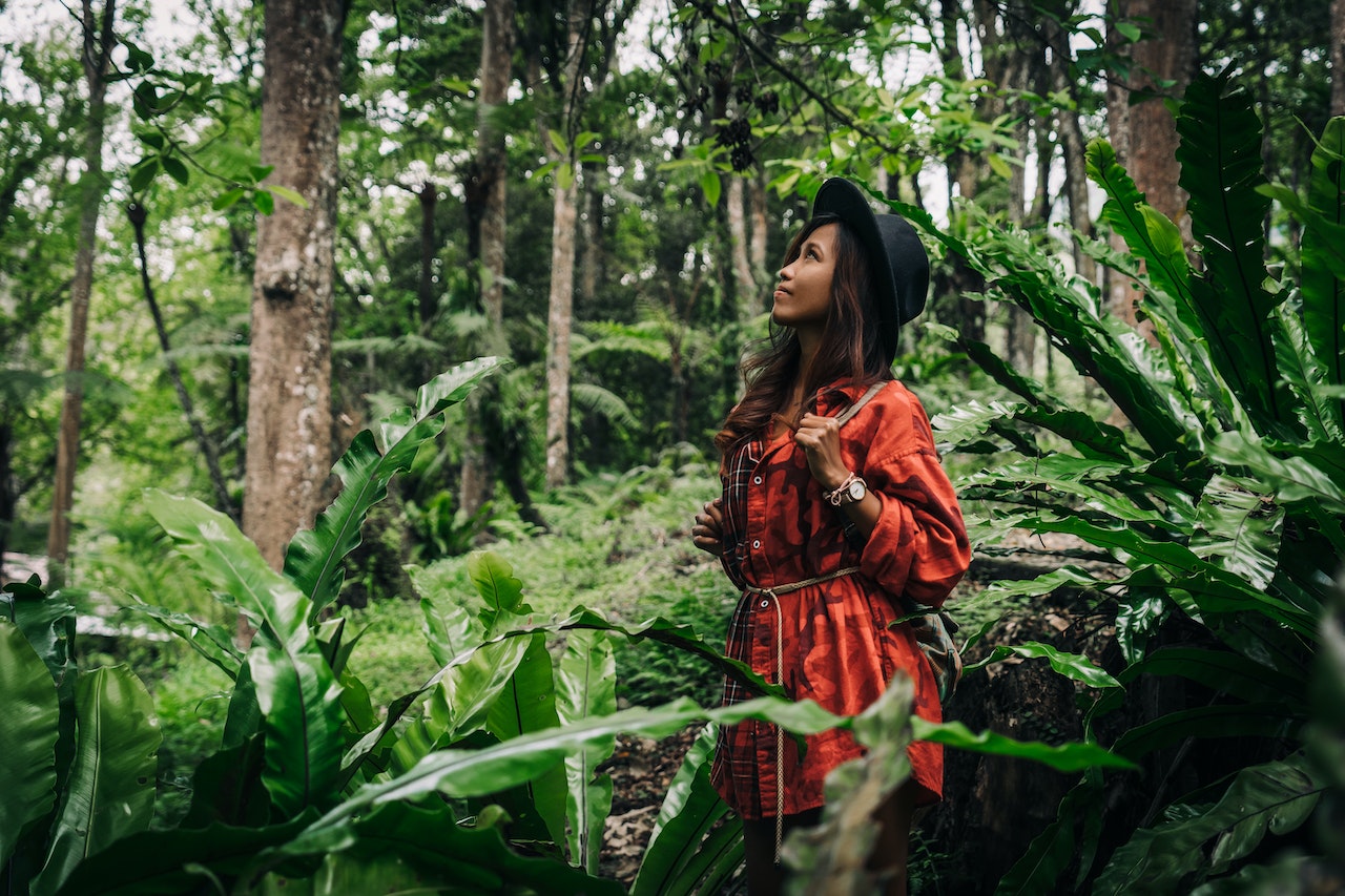 Daerah di Indonesia yang Layak Dikunjungi — inspirasi dari Villa Bango di Cilember, Puncak