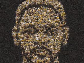 What is a Narrative/Narratology Campaign?