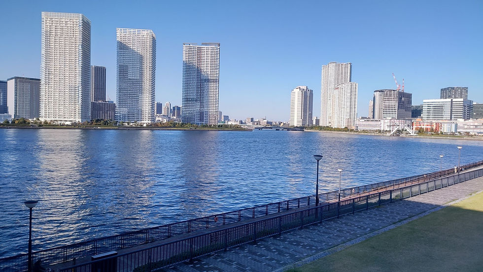 豊洲の景色