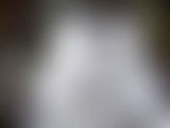 Disfruta de la pista de hielo en el Centro Histórico de Morelia