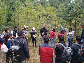 Con guías especializados, Michoacán fortalece al sector turístico