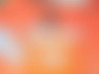 Plan Morelos fue un evento político-electorero: Toño Carreño