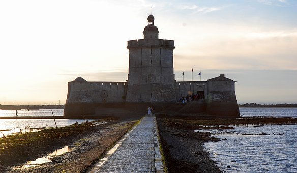 low-tide-908657__340