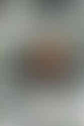 dog surrounded by wedding bouquets