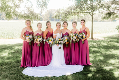 Blush bridesmaids in northwest ohio wedding