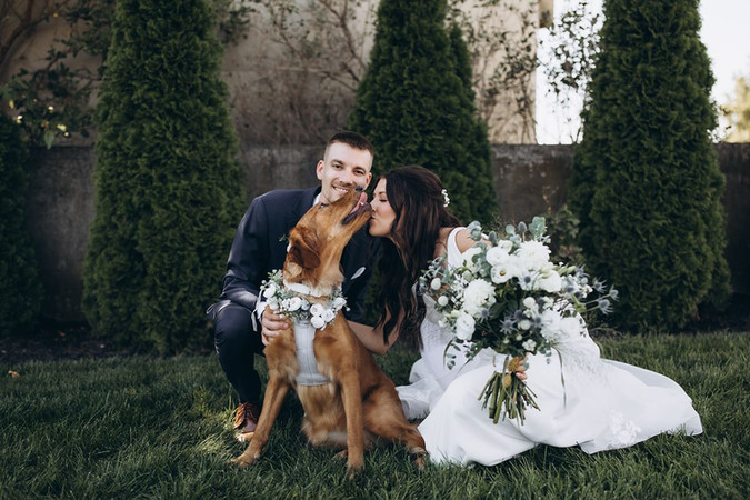 bride and groom kissing their dog
