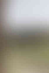 looking through a window to an outdoor wedding ceremony