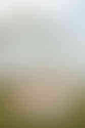 blush boho bridesmaids in front of white barn