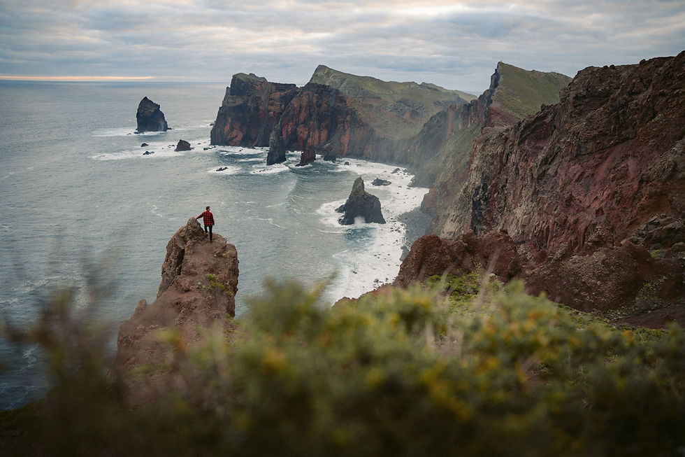 Person in a red plaid shirt stands on a rocky cliff Ponta de São Lourenço (Ponta do Rosto) on Madeira, overlooking an ocean with waves and rugged coastline. Overcast sky, lush foreground.