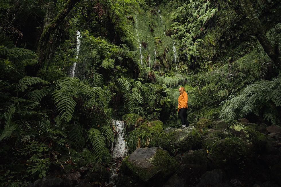Green Levada trail on Madeira