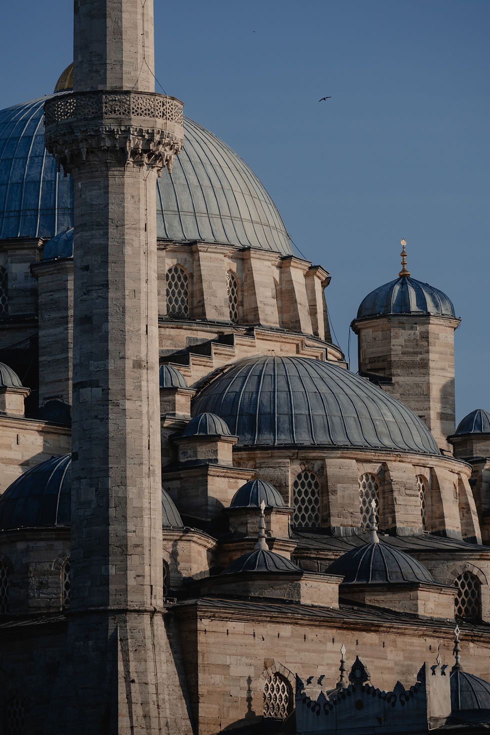 Blue domes and a tall minaret of a historic Yeni Cami mosque against a clear sky, with intricate masonry and a bird flying overhead.